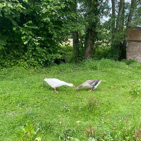 Gæstehus Le Moulin Des Lambotte *