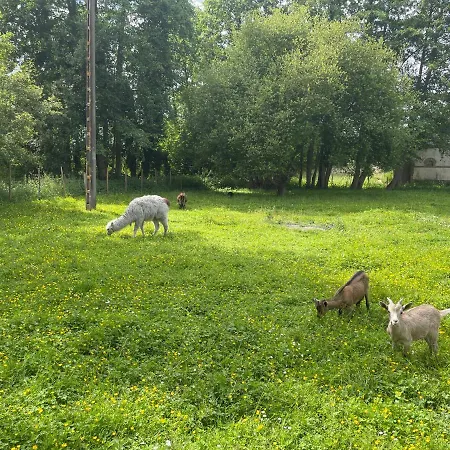 Le Moulin Des Lambotte *